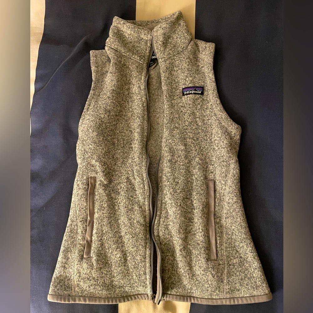 Patagonia Better Sweater Fleece Vest